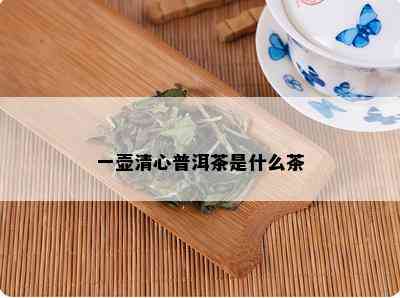 一壶清心普洱茶是什么茶