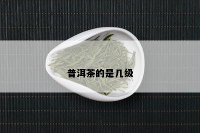 普洱茶的是几级