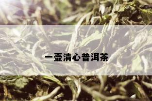 一壶清心普洱茶