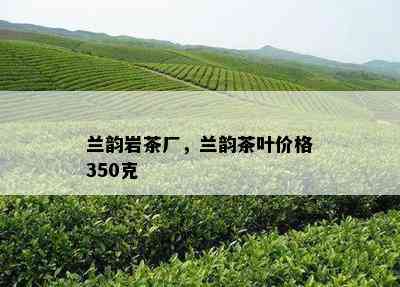 兰韵岩茶厂，兰韵茶叶价格350克