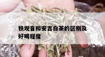 铁观音和安吉白茶的区别及好喝程度