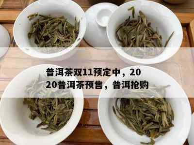 普洱茶双11预定中，2020普洱茶预售，普洱抢购