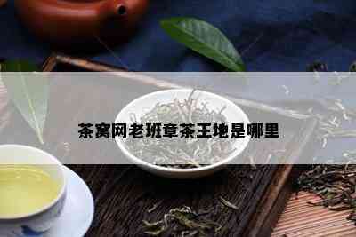 茶窝网老班章茶王地是哪里