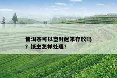 普洱茶可以塑封起来存放吗？纸虫怎样处理？