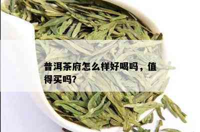 普洱茶府怎么样好喝吗，值得买吗？