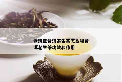 老班章普洱茶生茶怎么喝普洱老生茶功效和作用