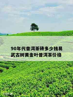 90年代普洱茶砖多少钱易武古树黄金叶普洱茶价格