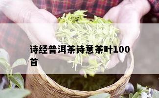 诗经普洱茶诗意茶叶100首