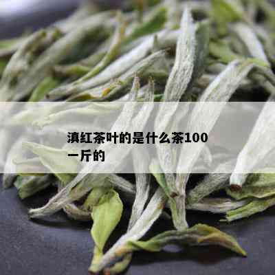 滇红茶叶的是什么茶100一斤的