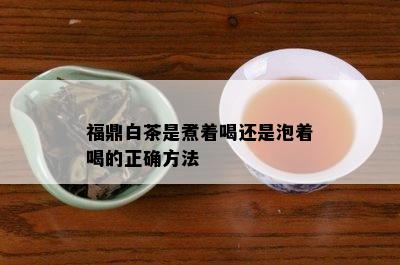 福鼎白茶是煮着喝还是泡着喝的正确方法