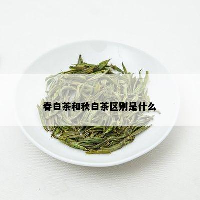 春白茶和秋白茶区别是什么