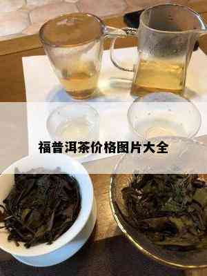 福普洱茶价格图片大全