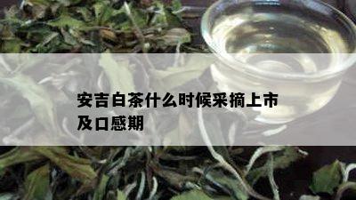 安吉白茶什么时候采摘上市及口感期