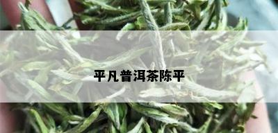 平凡普洱茶陈平