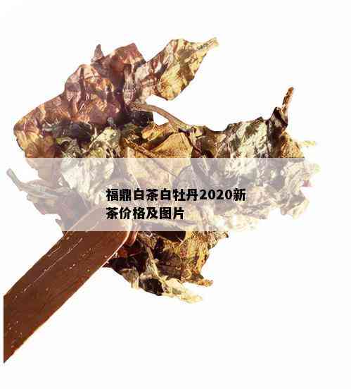 福鼎白茶白牡丹2020新茶价格及图片