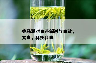 香肠派对白茶解说与白鲨，大白，科技和白