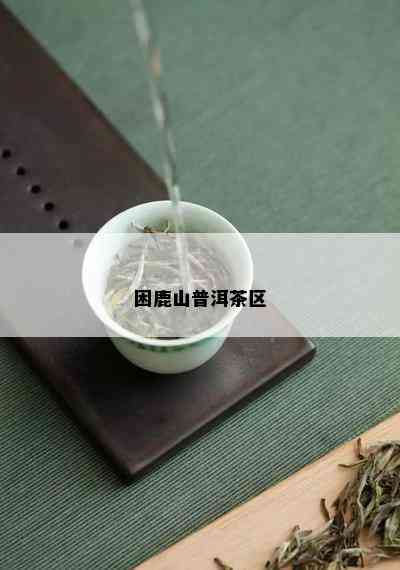 困鹿山普洱茶区