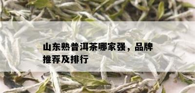 山东熟普洱茶哪家强，品牌推荐及排行