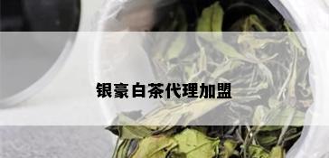 银豪白茶代理加盟