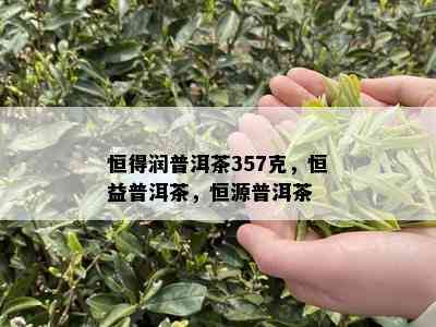 恒得润普洱茶357克，恒益普洱茶，恒源普洱茶