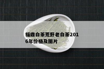 福鼎白茶荒野老白茶2016年价格及图片