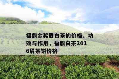 福鼎金奖眉白茶的价格、功效与作用，福鼎白茶2016眉茶饼价格