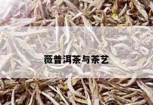 薇普洱茶与茶艺