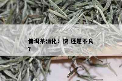 普洱茶消化：快 还是不良？