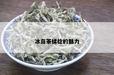 冰岛茶揉捻的魅力