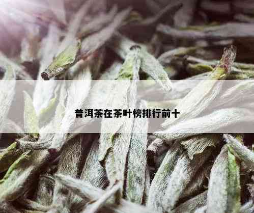 普洱茶在茶叶榜排行前十