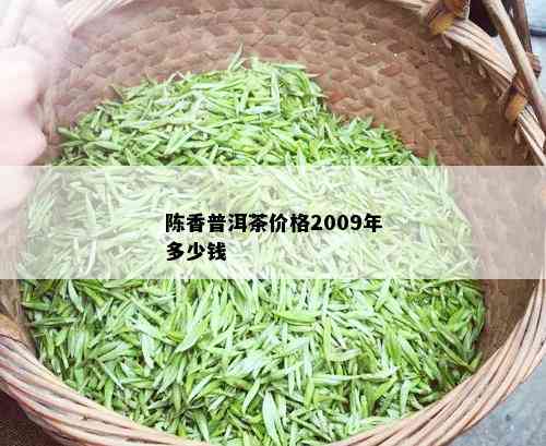 陈香普洱茶价格2009年多少钱