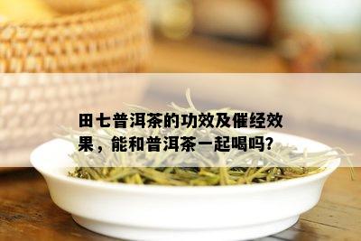 田七普洱茶的功效及催经效果，能和普洱茶一起喝吗？