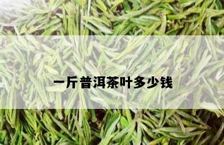 一斤普洱茶叶多少钱