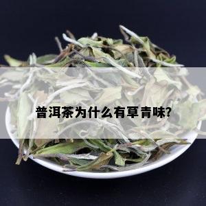 普洱茶为什么有草青味？