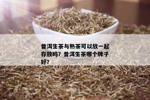 普洱生茶与熟茶可以放一起存放吗？普洱生茶哪个牌子好？