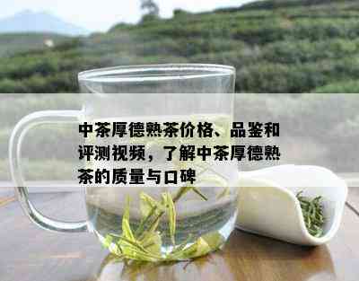 中茶厚德熟茶价格、品鉴和评测视频，了解中茶厚德熟茶的质量与口碑