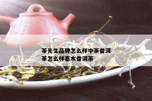 茶先生品牌怎么样中茶普洱茶怎么样嘉木普洱茶