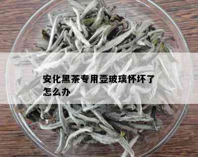 安化黑茶专用壶玻璃怀坏了怎么办