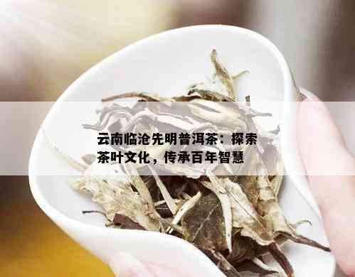 云南临沧先明普洱茶：探索茶叶文化，传承百年智慧