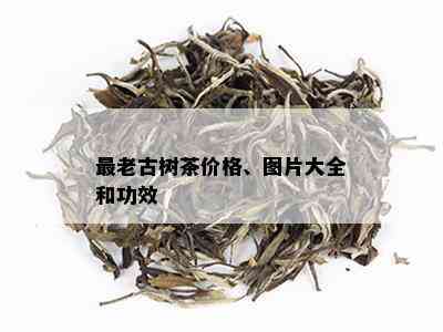 最老古树茶价格、图片大全和功效