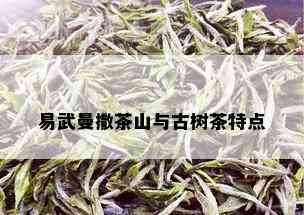 易武曼撒茶山与古树茶特点