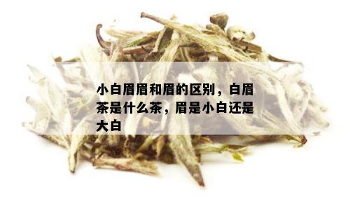 小白眉眉和眉的区别，白眉茶是什么茶，眉是小白还是大白