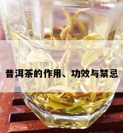 普洱茶的作用、功效与禁忌