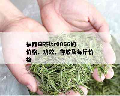 福鼎白茶ltr0066的价格、功效、存放及每斤价格