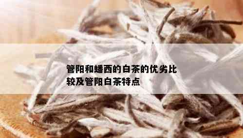 管阳和蟠西的白茶的优劣比较及管阳白茶特点