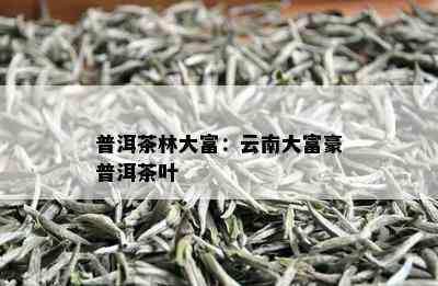 普洱茶林大富：云南大富豪普洱茶叶