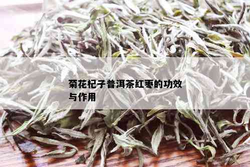 菊花杞子普洱茶红枣的功效与作用