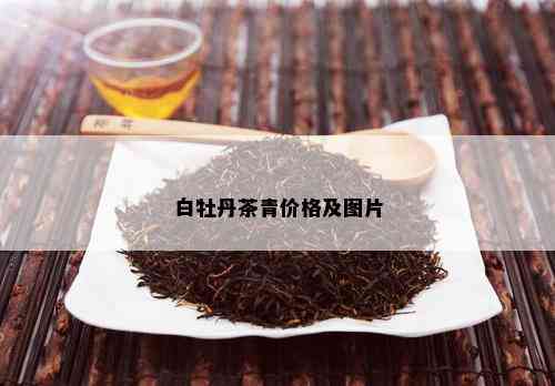 白牡丹茶青价格及图片