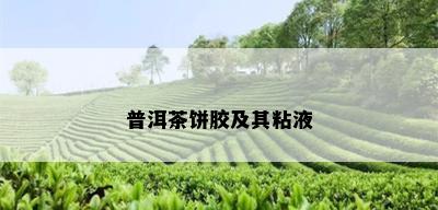 普洱茶饼胶及其粘液