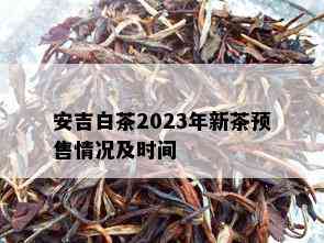 安吉白茶2023年新茶预售情况及时间